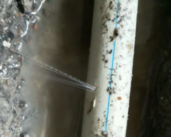 汕尾卫生间测漏水多少钱